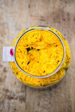 Pot met gele tulpen von Marc  Verbeek