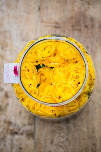 Pot met gele tulpen van Marc  Verbeek