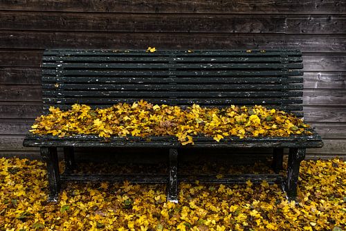 autumn bench