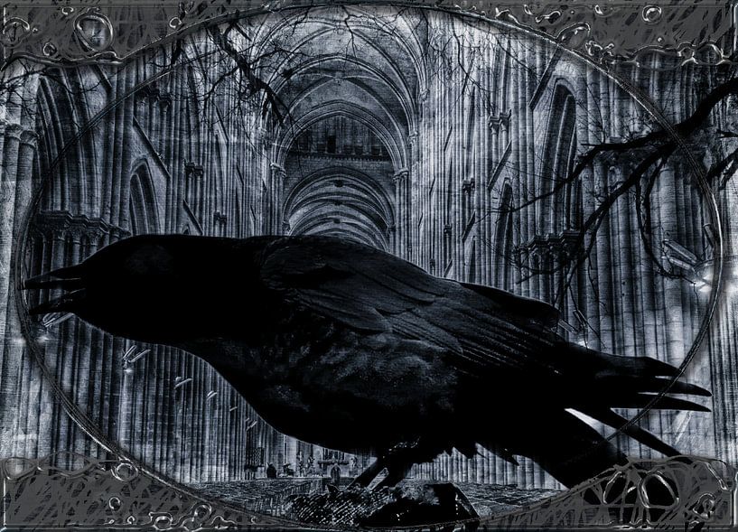Black Raven in Church by Nicky`s Prints