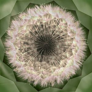 Fluffball im Mandala