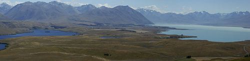 Lake Tekapo - Nieuw Zeeland