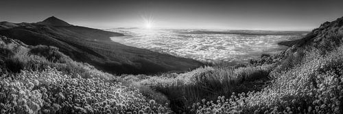 Tenerife boven de wolken in zwart en wit.