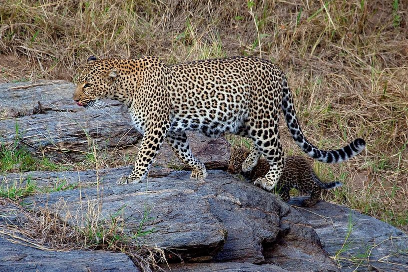 Walk w. child by Peter Michel