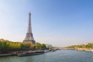 Seine Eiffelturm im Frühling von Dennis van de Water