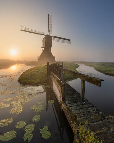 Moulin morne de Noordeveld