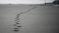 voetafdruk in zand 