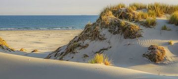 La plage et les dunes de Terschelling sur Dirk van Egmond
