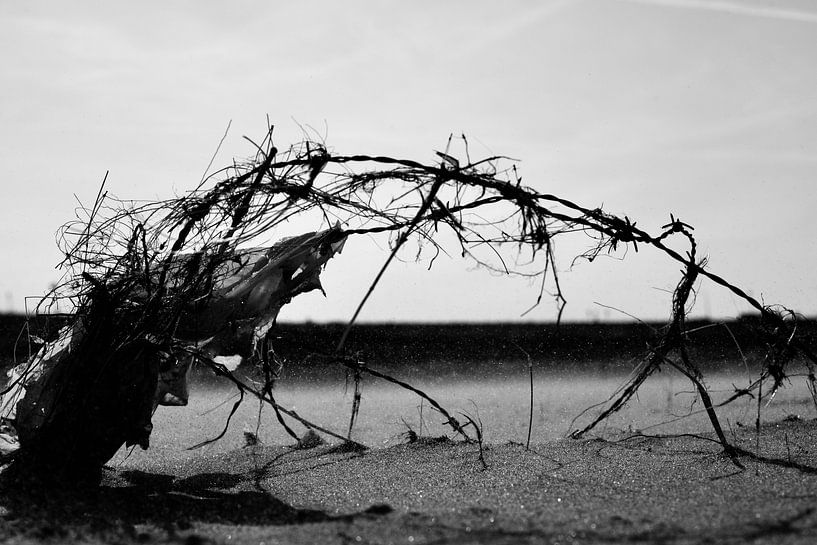 Beachwork by Alexander Frencken