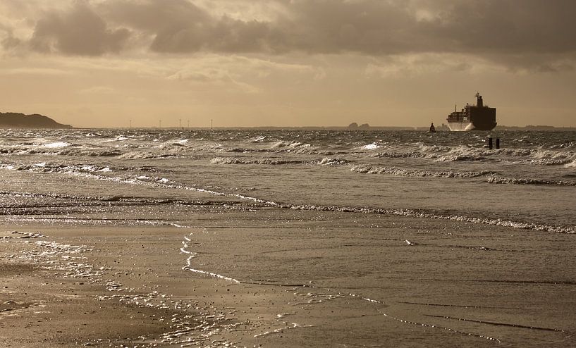 Expédition pour la côte de Zeeland par MSP Canvas