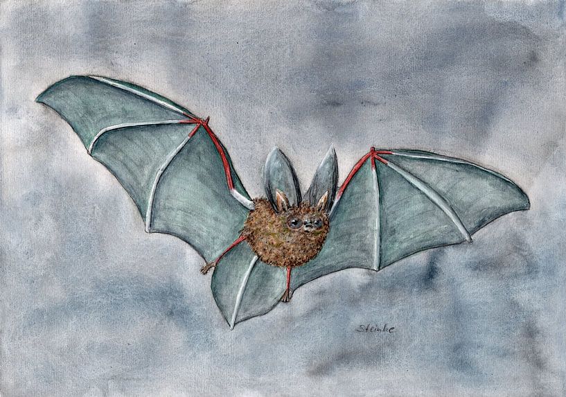 Chauve-souris par Sandra Steinke