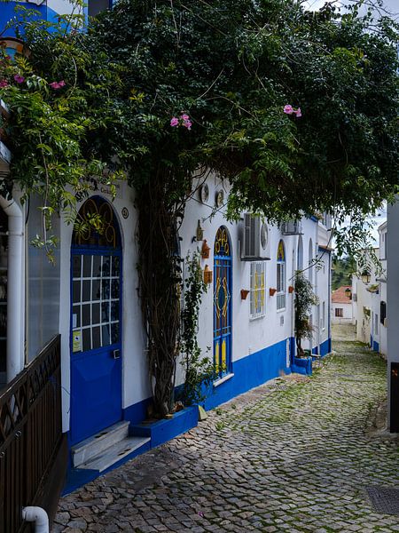 Street in Alte by Eddy Westdijk