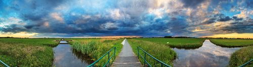 Polder landschap 360  by Dennis van de Water