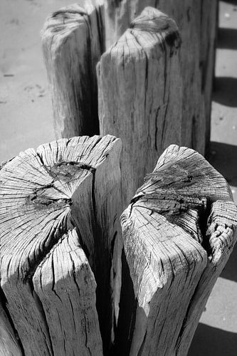 Brise-lames sur la plage de Badzand, en Zélande.