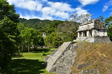 Oude Maya-ruïnes in Palenque van David Esser