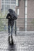 Hollands weer
