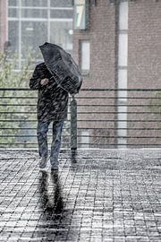 Hollands weer by Boy Steegs