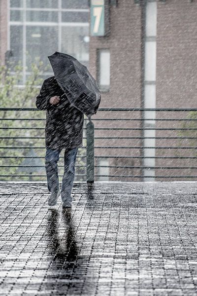 Hollands weer van Boy Steegs