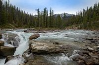 Chutes de Sunwapta
