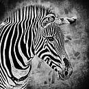 Zwart-wit portret van een zebra (mixed media) van Art by Jeronimo thumbnail