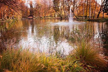 Vijver in de herfst van SusaZoom