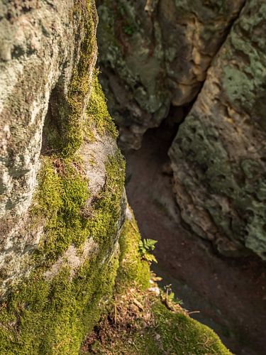 Kleiner Bärenstein, Saxon Switzerland - Moss and rock by Pixelwerk