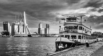 Erasmus-Brücke, Rotterdam von Lorena Cirstea