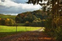 Weg naar het herfstbos