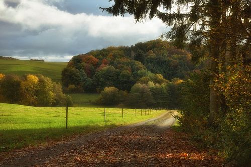 Weg naar het herfstbos