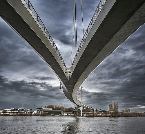 Nescio bicycle bridge