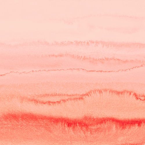 Within the Tides Blooming Dahlia 2