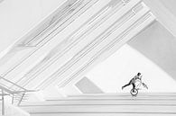 bicycle art, Piet Haaksma by 1x thumbnail