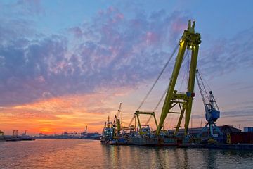 Drijvende kraan tijdens zonsondergang te Rotterdam