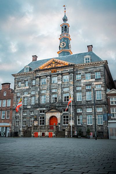 L'hôtel de ville de 's-Hertogenbosch en pleine gloire par Niek Wittenberg