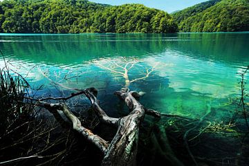 Nationaal park Plitvicemeren (Kroatië) van Willem Klopper