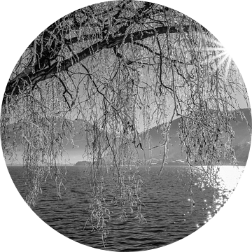 Een winters gordijn aan het meer van Zell van Christa Kramer