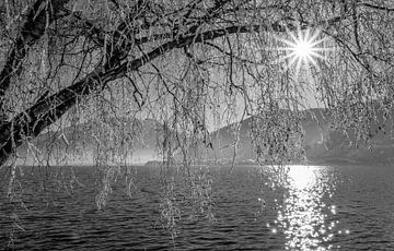 A winter curtain on Lake Zell by Christa Kramer