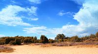 mantingerzand
