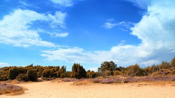 Mantinger Sand von Yvonne Blokland