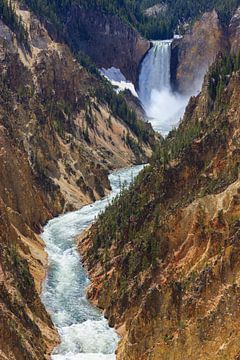 Unterer Wasserfall im Yellowstone NP, Wyoming, USA von Henk Meijer Photography