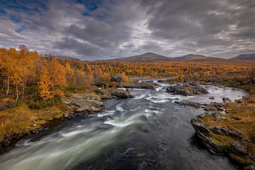 Der Riveir in der Herbstlandschaft in Norwegen von Andy Luberti