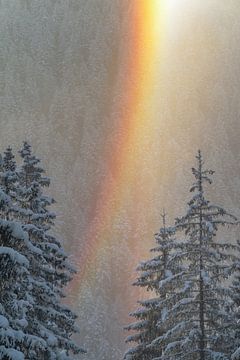 Regenboog in Kleinwalsertal in de winter van Daniel Pahmeier