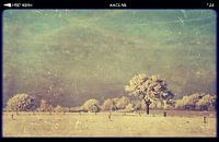 Vintage