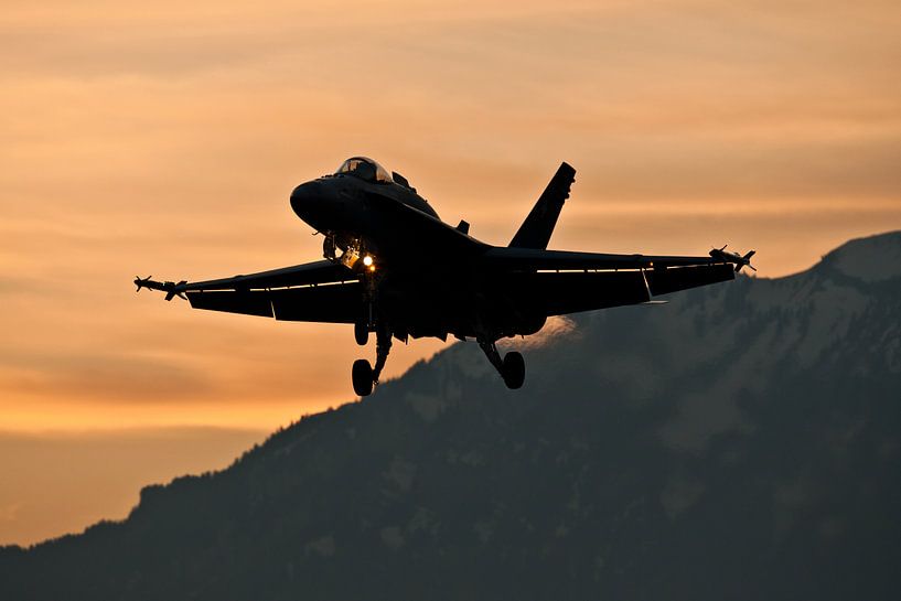 Landing by dawm van Nico van Remmerden