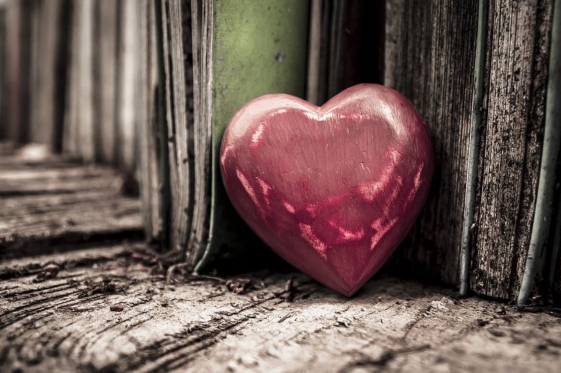 Reading is love / love is reading by Norbert Sülzner