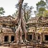 Cambodja | Angkor Ta Prohm | Ruine von Mrs van Aalst