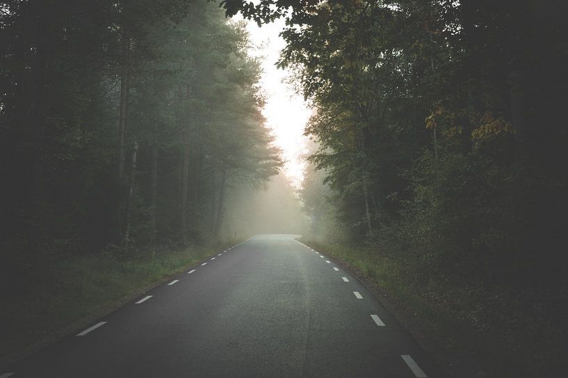 Through the forest in the fog by MdeJong Fotografie