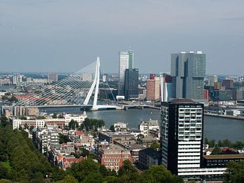 Skyline von Rotterdam aus großer Höhe
