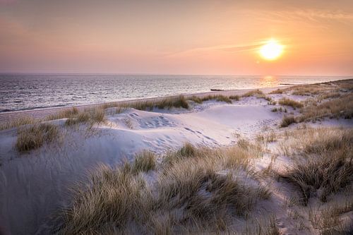 Zonsopgang in de duinen van het natuurgebied Ellenbogen, Sylt