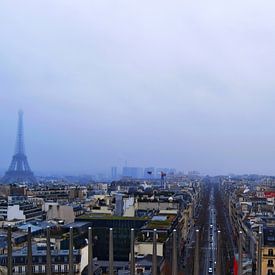 Parijs van boven von Vincent Van de put